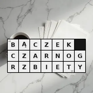 Hasło krzyżówkowe ixobrychus dubius gatunek ptaka z rodziny czaplowatych ardeidae dawniej klasyfikowany jako podgatunek w obrębie gatunku bączek zwyczajny ixobrychus minutus - bączek czarnogrzbiety – rozwiązanie, synonimy, podpowiedzi i definicje krzyżówkowe